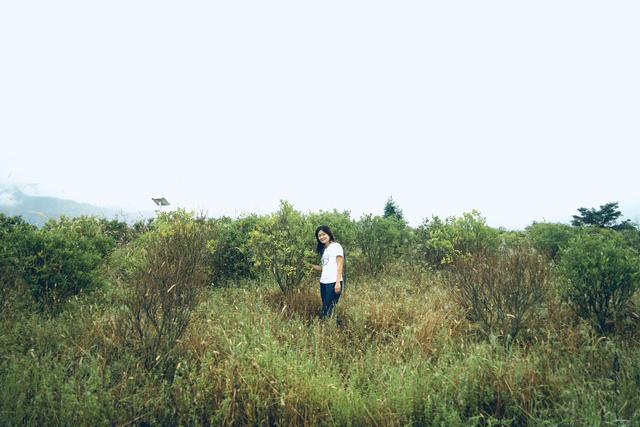 泰顺摄影天堂图片,泰顺风光摄影