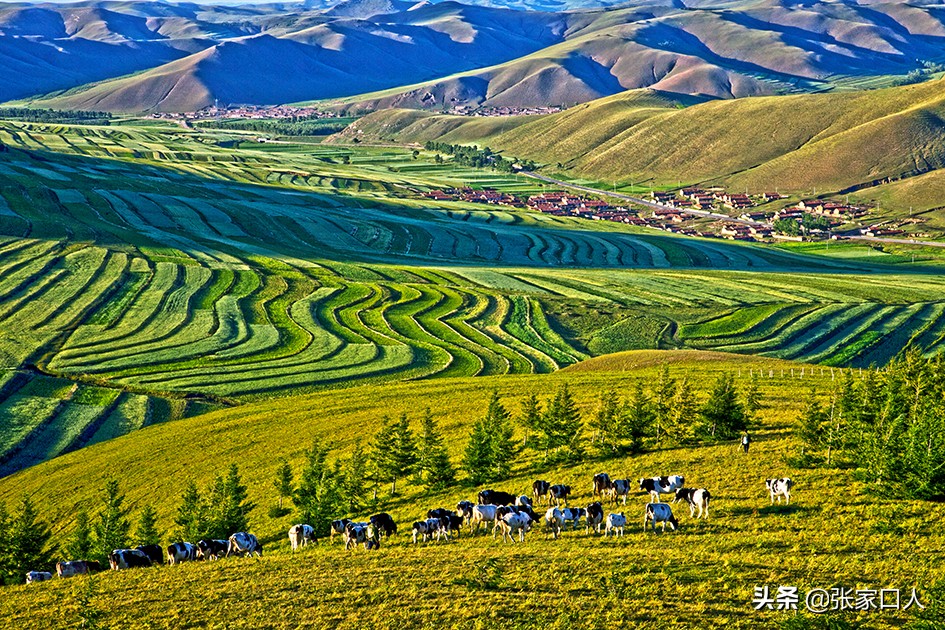 汪曾祺在水乡生活是个怎样的人,作家汪曾祺的冬天文章