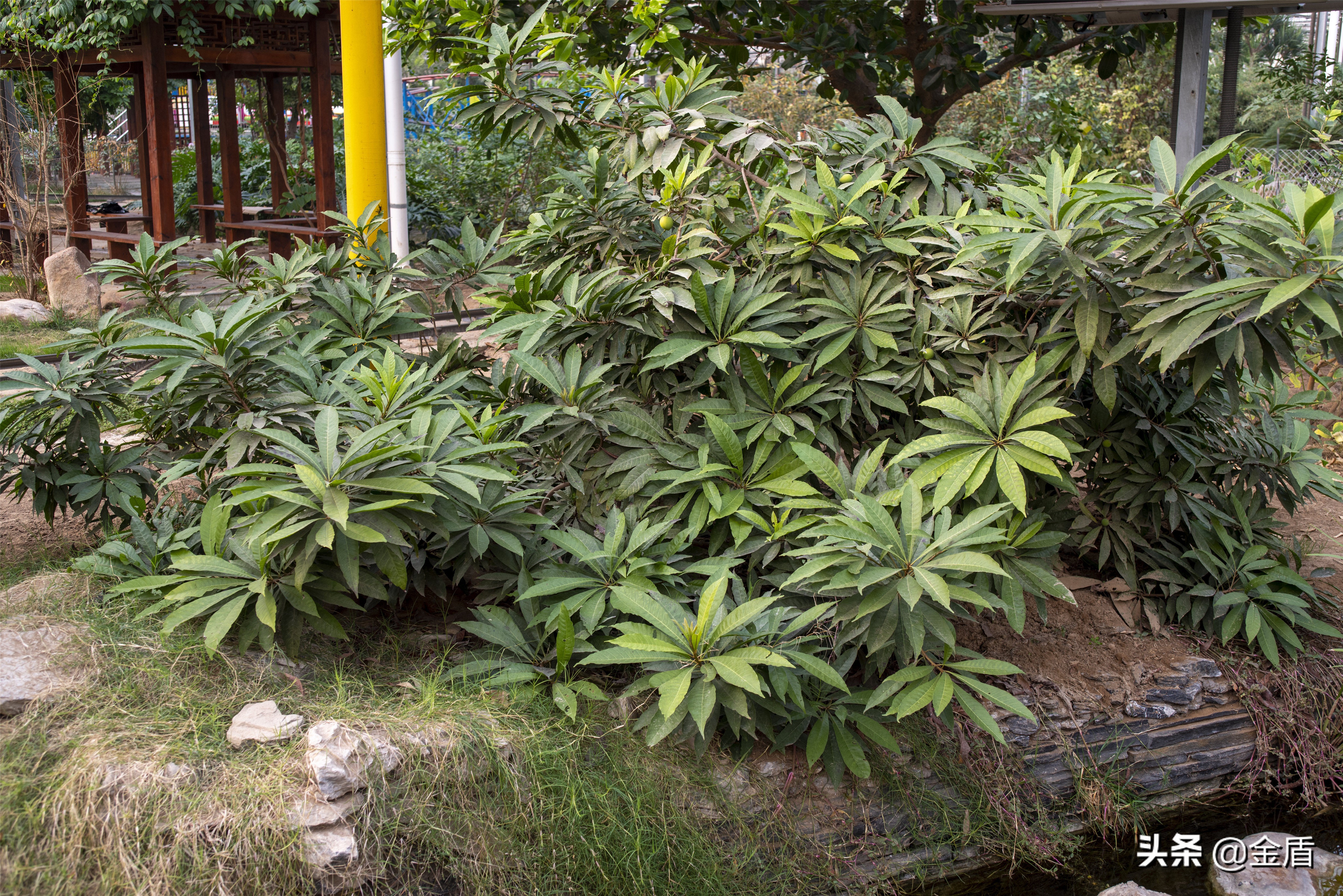 九天休闲谷欢迎您游玩,九天休闲谷适合春天去吗