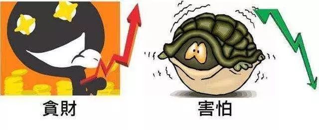 找不到好的股票,找不到股票下跌的消息