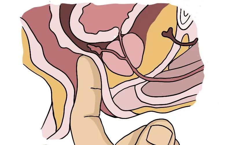 打嗝打不出来小妙招念数字,打嗝太尴尬教你10招迅速止住