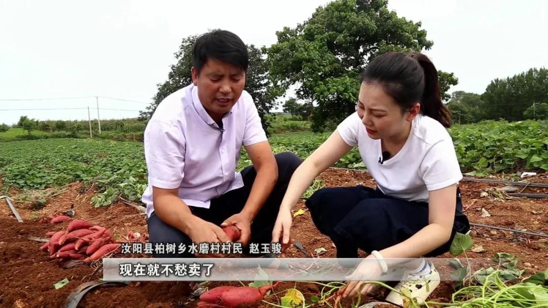 汝阳大安新天地,汝阳适合拓展的地方