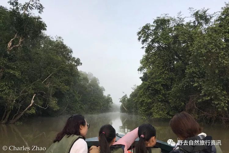 希望疫情早点结束能陪孩子多走走,待疫情彻底过去