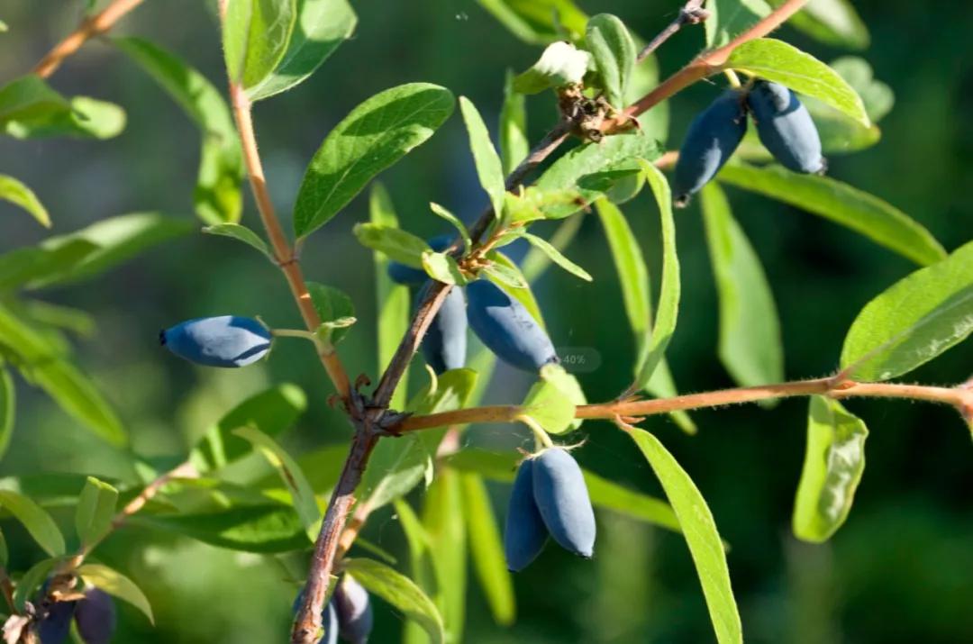 这座火车站将结束此地不通高铁历史!