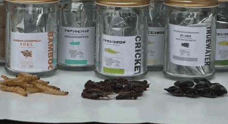 日本产自动无人售货机,日本自动贩卖机卖吃的