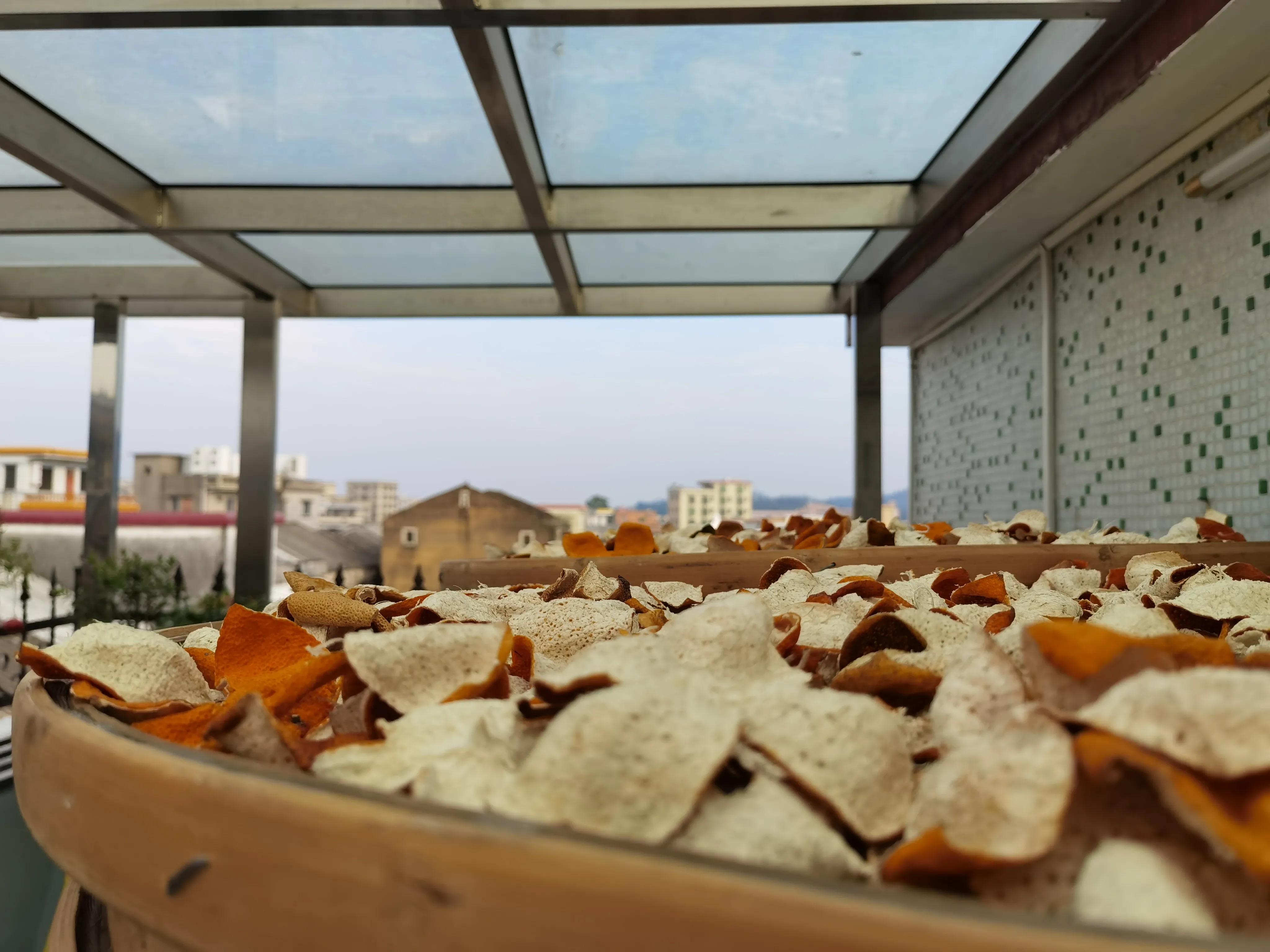 珠海一日游攻略普陀寺,珠海金台寺一日游攻略