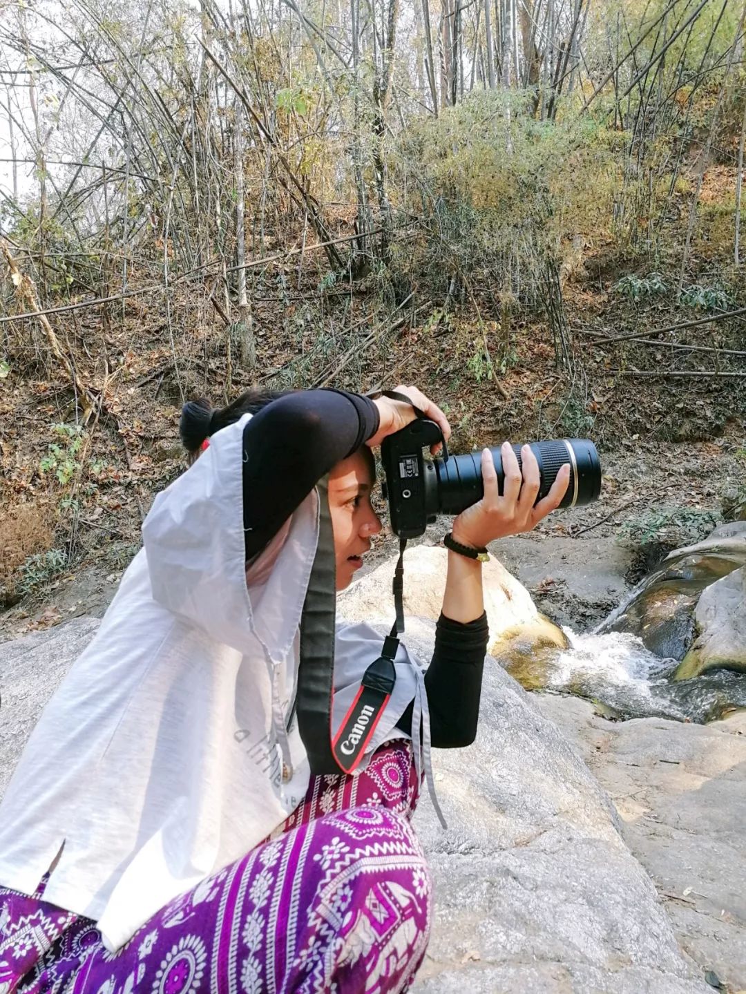 清迈的现状,清迈重逢