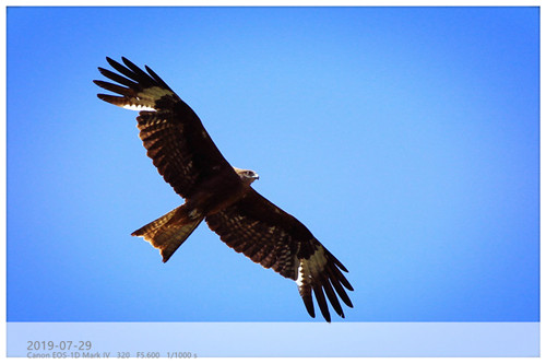 怎样赚到很多钱的合集,如何赚钱有经验分享