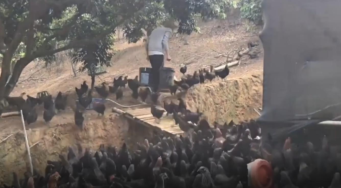 老兵创业的利润,老兵创业致富