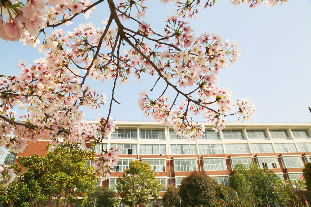 欢迎报考外事学校,欢迎报考江西外语外贸职业学院