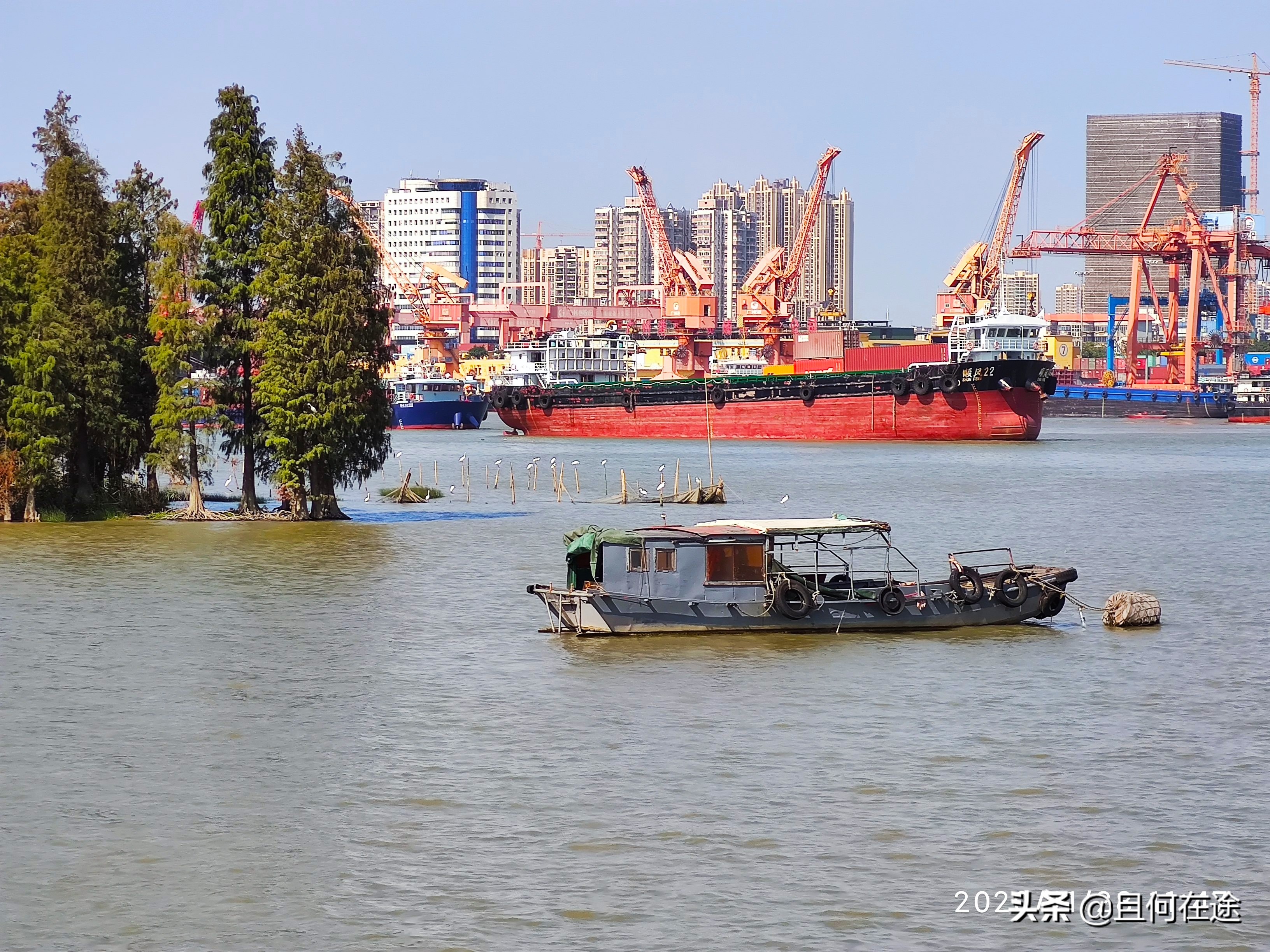 为什么要把饭碗牢牢端在自己手中,怎样才能把自己饭碗端在自己手里