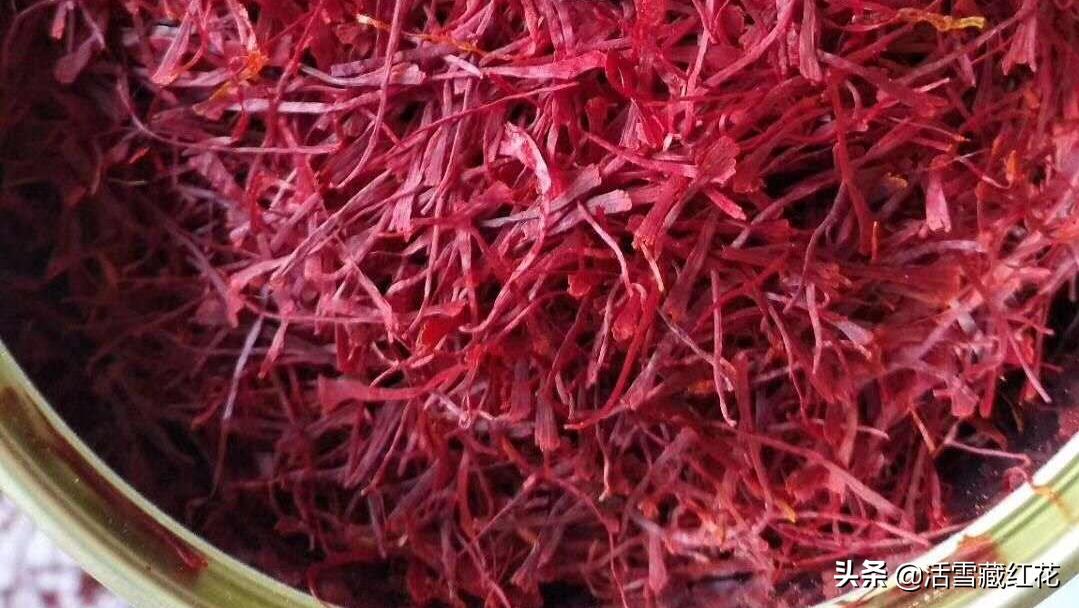 藏红花主要产地崇明岛,正宗的藏红花产地是哪里
