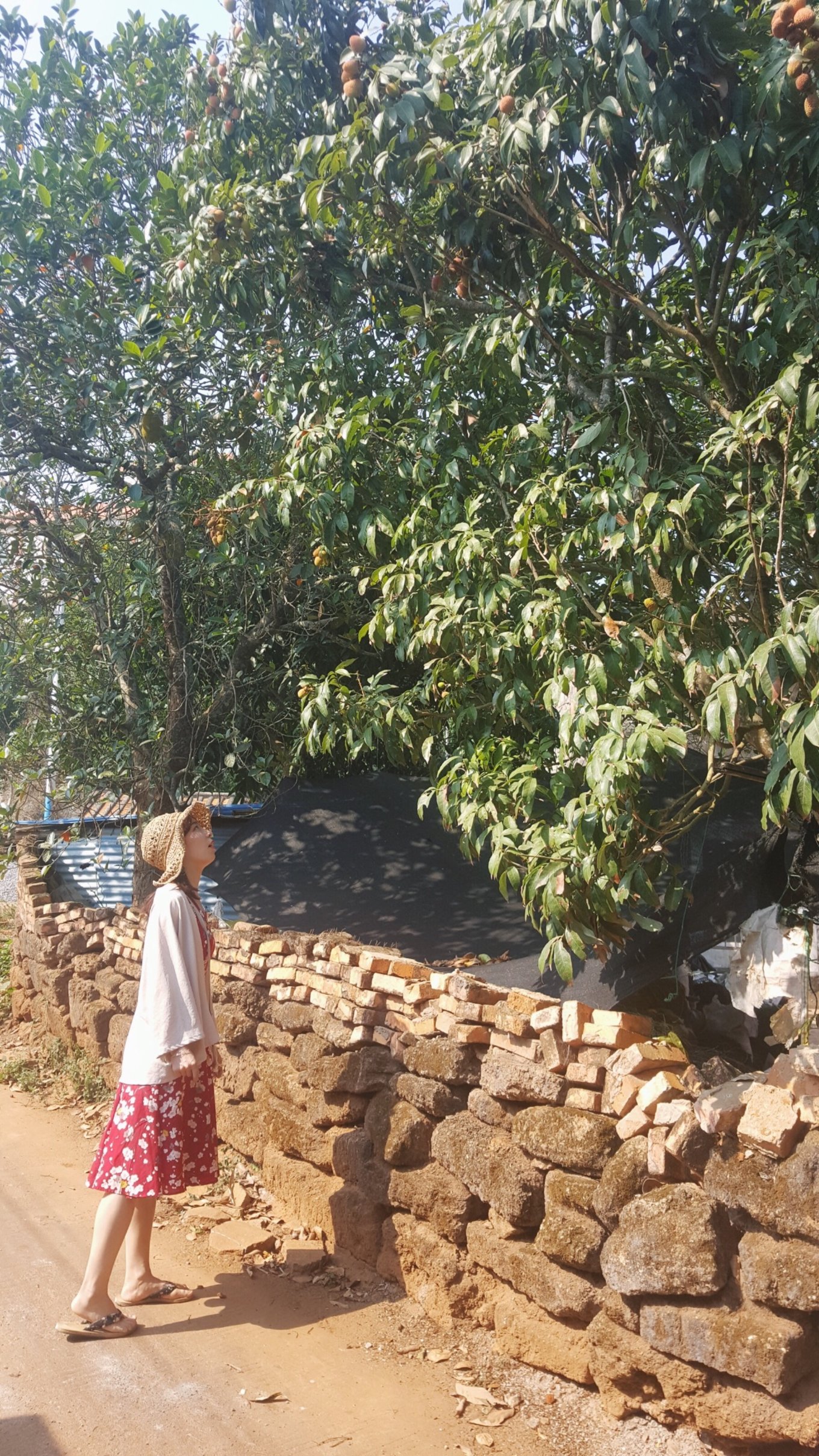 详细北海涠洲岛4天3晚旅游攻略,北海至涠洲岛船票攻略