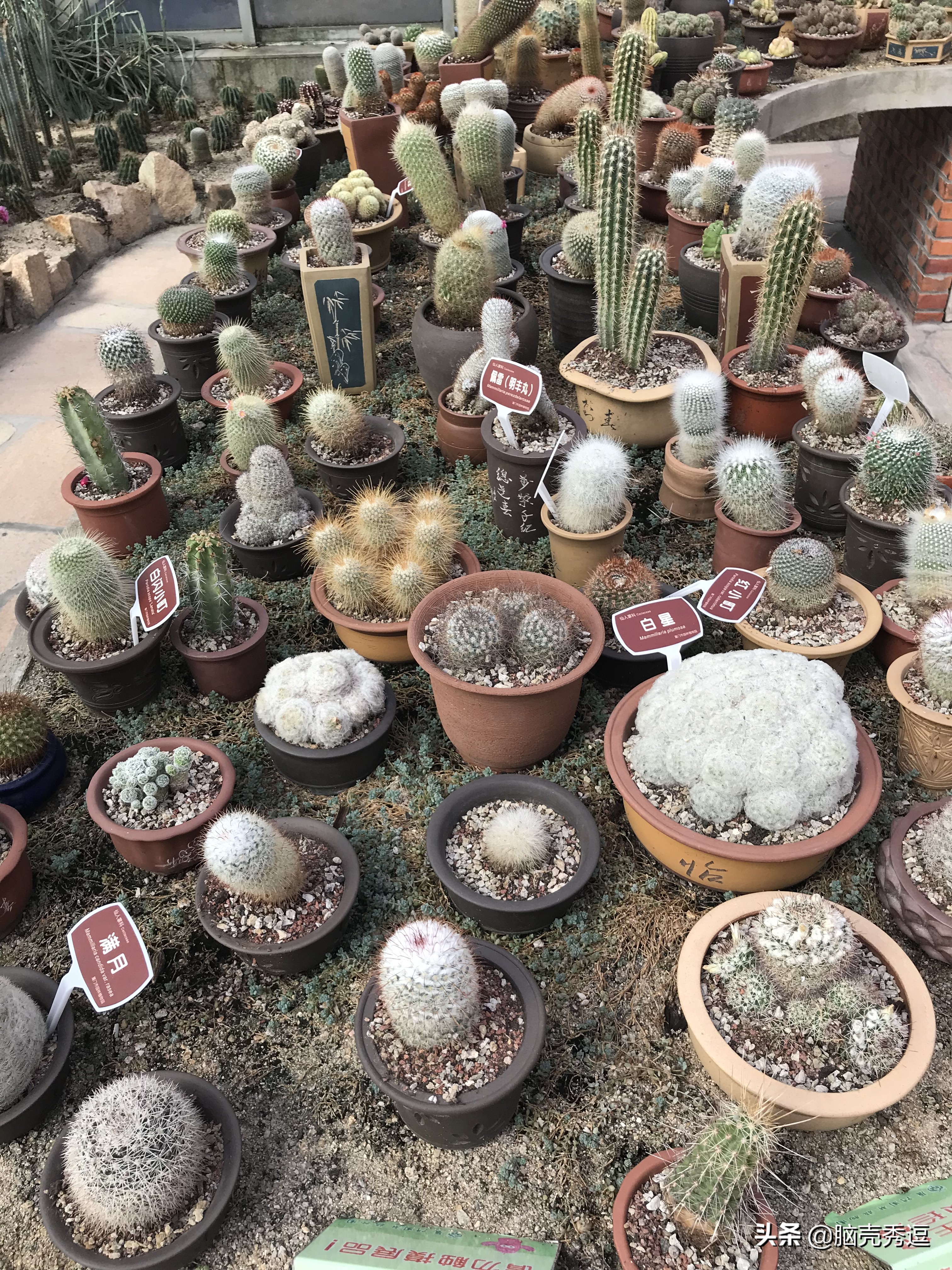 厦门四天自由行攻略最详细,厦门自由行攻略5天详细