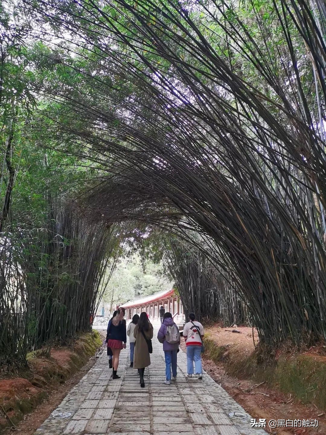 景德镇为什么能成为御窑,瓷都景德镇瓷器