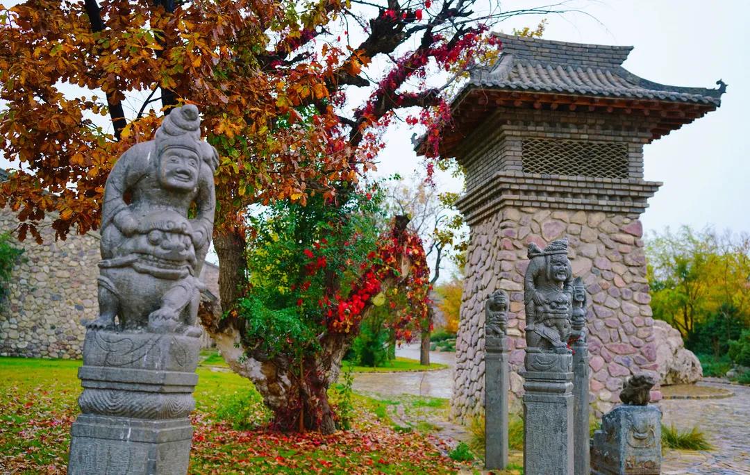 秋天银川旅游线路推荐,银川的秋天