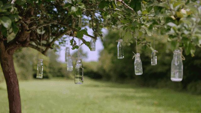 幼儿园公众号,想说爱你不容易