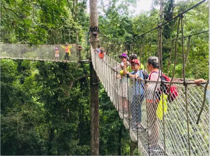 西双版纳最著名的旅游景点,西双版纳旅游景点排行榜第几