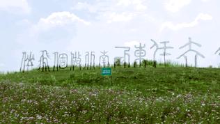 双流空港花田最新进展,双流空港花田开放了吗最新回复