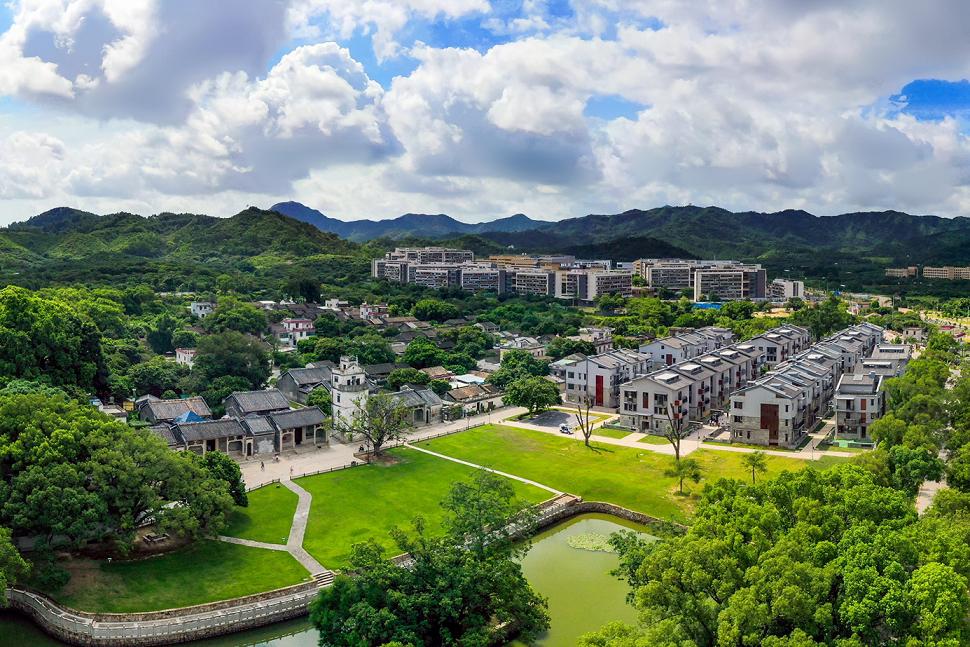 饶平县农业厅厅长顾幸伟,顾幸伟出台广东宅基地政策