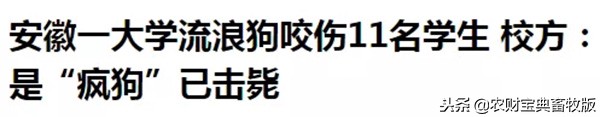大学生在宿舍养猪被学校批评,大学宿舍养猪被通报