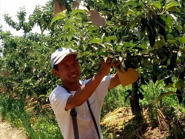 新农人十大网红,新农人网红种地视频