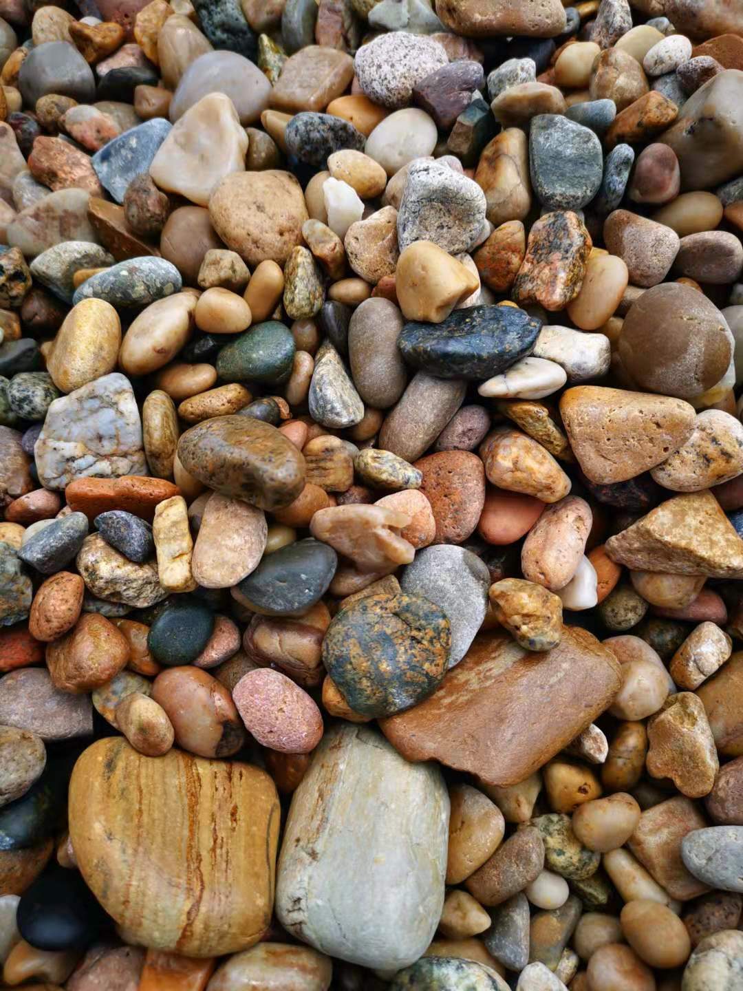 大连老虎滩帆船出海一日游,老虎滩金石滩棒棰岛