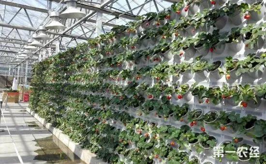 投资小挣钱快的4个项目解析,投资少赚钱快的致富好项目