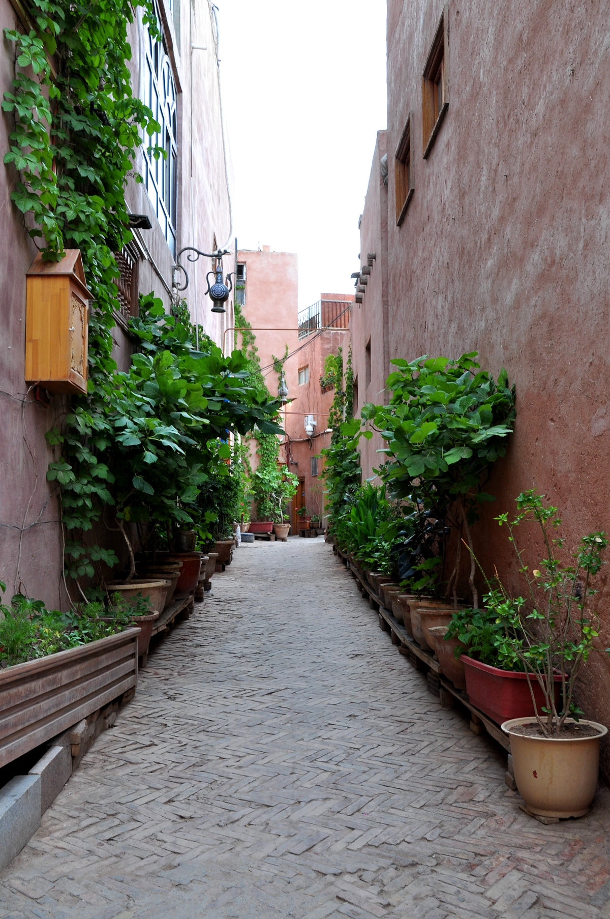 喀什噶尔古城表演时间,喀什噶尔古城门票多少钱