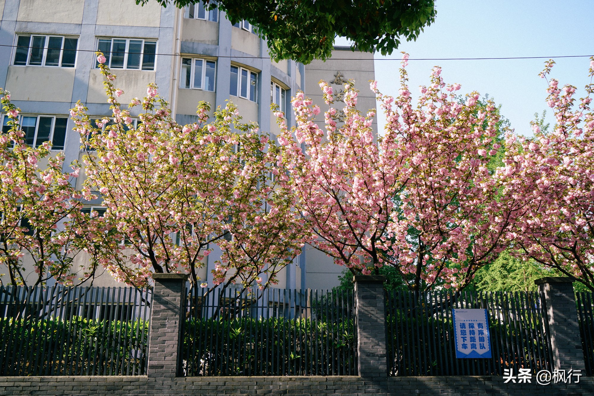 宁波市比较好吃的小吃,宁波有什么好吃的美食街吗