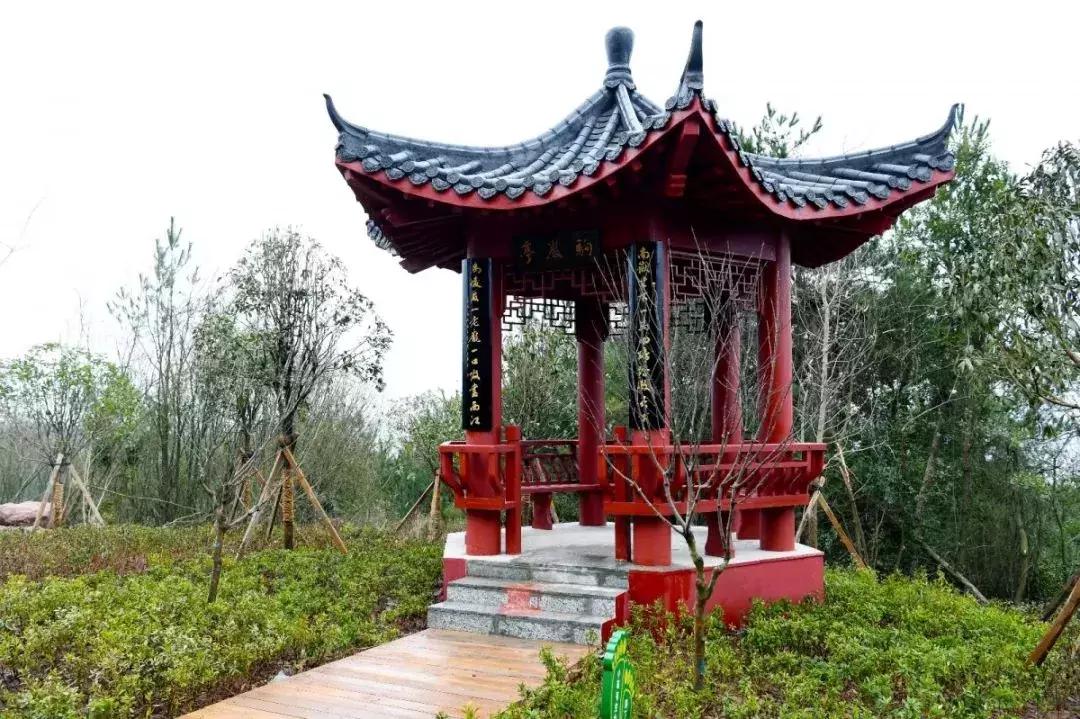 离赣州最近的森林公园还有多远,赣州最好玩的公园不要门票