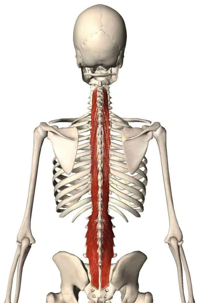 太极拳的松到底能松到何种程度,解密太极拳中的对拉劲