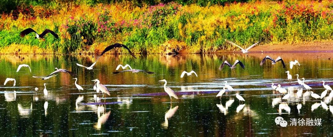 清徐县万科如园鸟瞰图,太原清徐万科如园值得购买吗