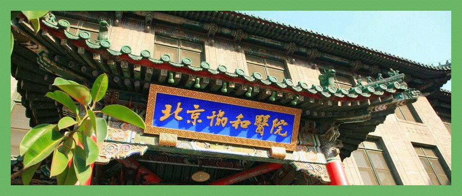 协和维e乳和协和医院,omg买他买它是什么梗