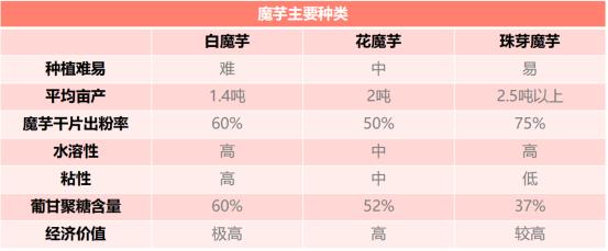 魔芋食品的发展前景,魔芋产品市场前景