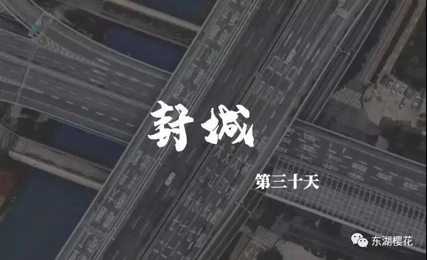 中国方方和法国蕾拉的《封城日记》为何都被批？