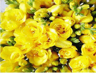 早上好!12月6发财日,祝你天天赚金砖,日进斗金,钱数不完