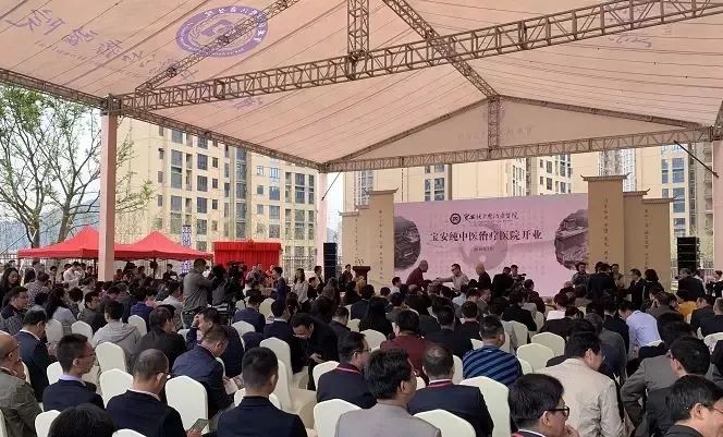 深圳最好的中医医院在哪里,深圳靠谱的中医医院