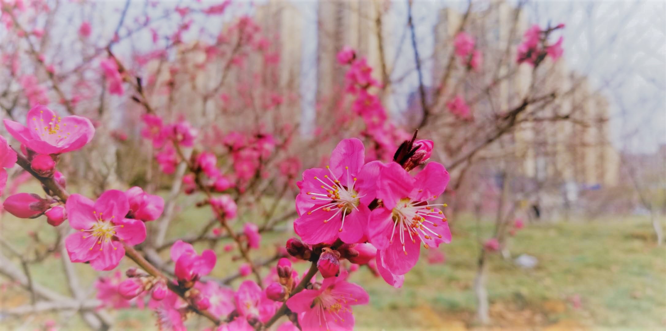 景美人少公园,景美人少适合去哪里旅游