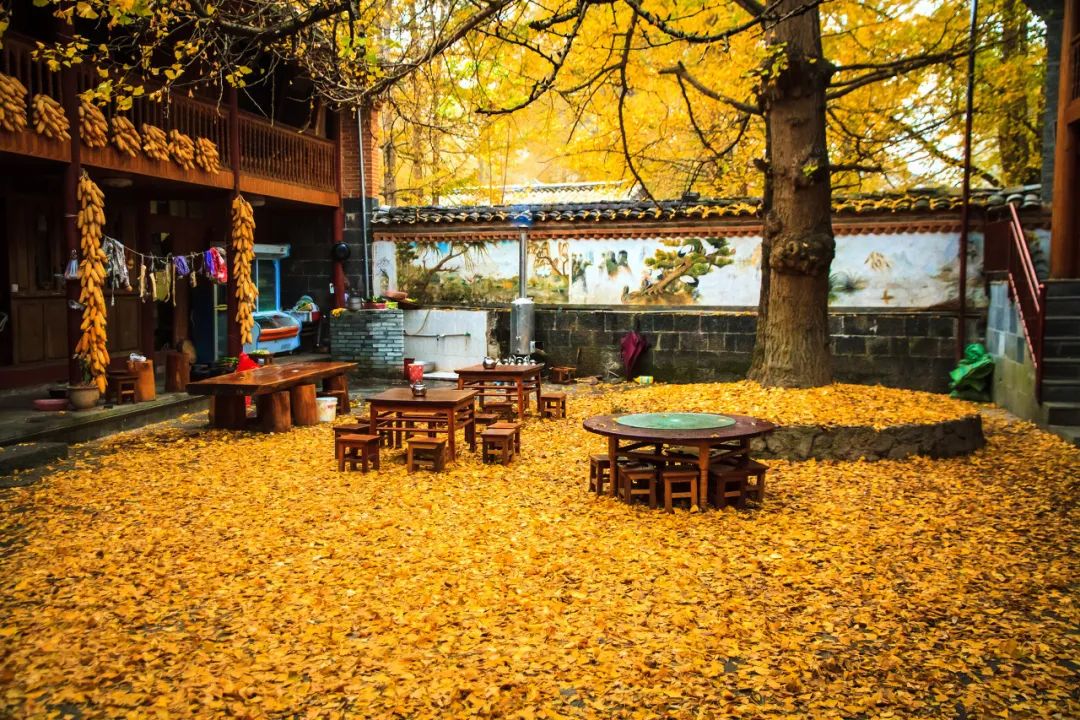 收好这份云南最新5a景区名单,云南的5a级景区有哪些