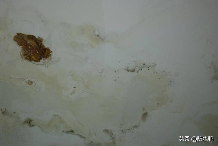 彩钢瓦屋面腐蚀漏水分析及处理,东莞市寮步镇防水处理屋面漏水