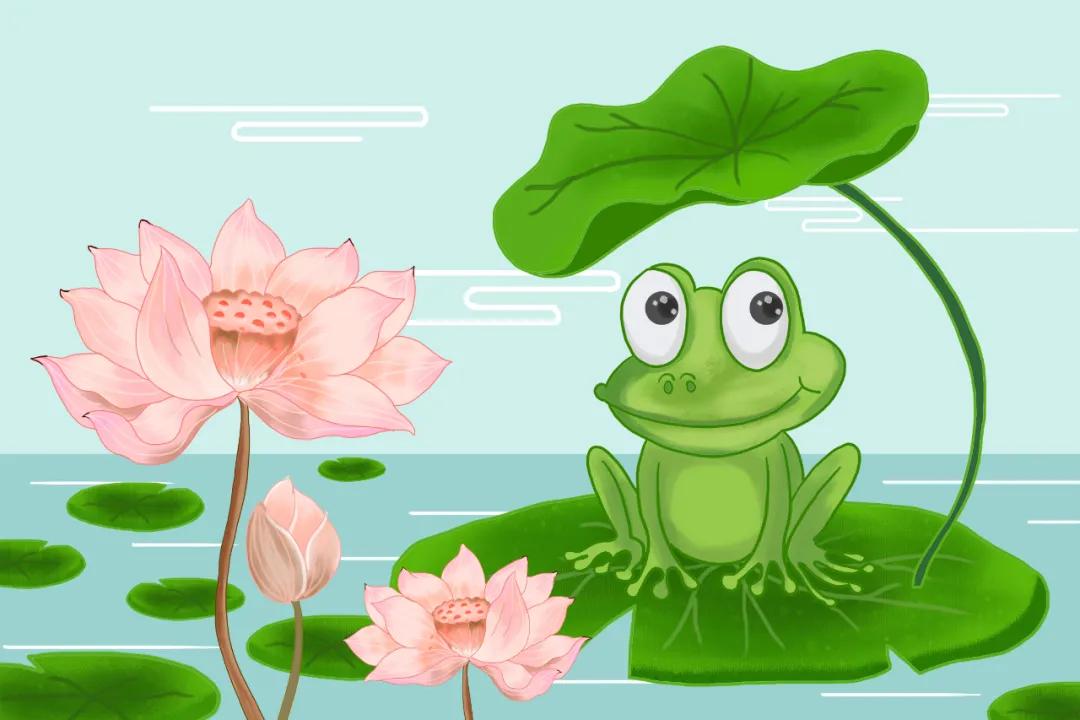 读完这24种动物描写，恨不得穿过屏幕抱抱它们