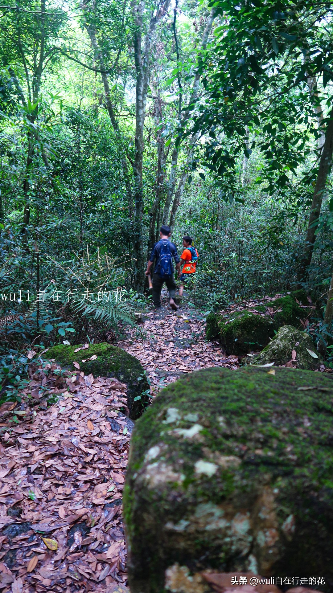 福州十八重溪徒步路线,福州森林公园登山徒步路线