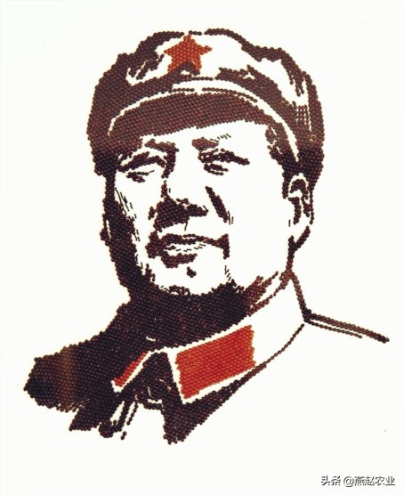 五谷杂粮制作的手工艺品,五谷杂粮制作工艺品