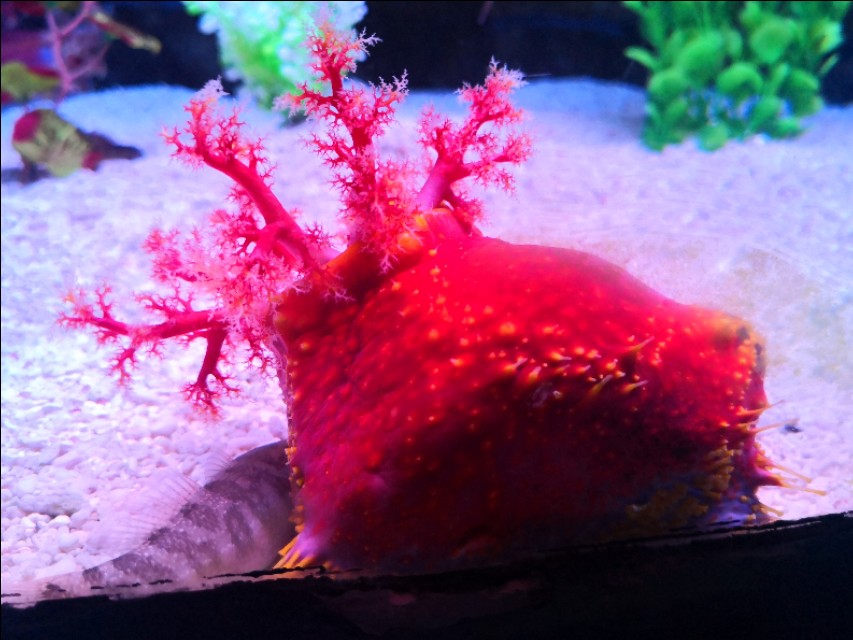 北京工体富国海底世界周一营业,北京工体富国海底世界旅馆