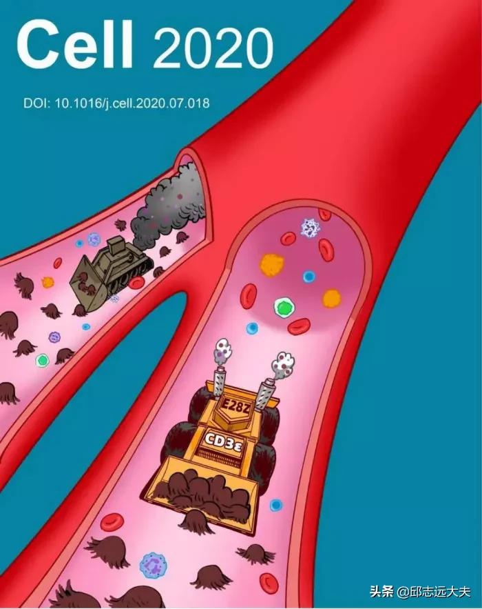 中国免疫学科学家,免疫学领域学者排名