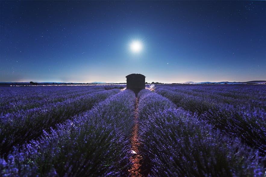 镜头中怎么拍出阳光光晕,各种光晕的拍摄技巧