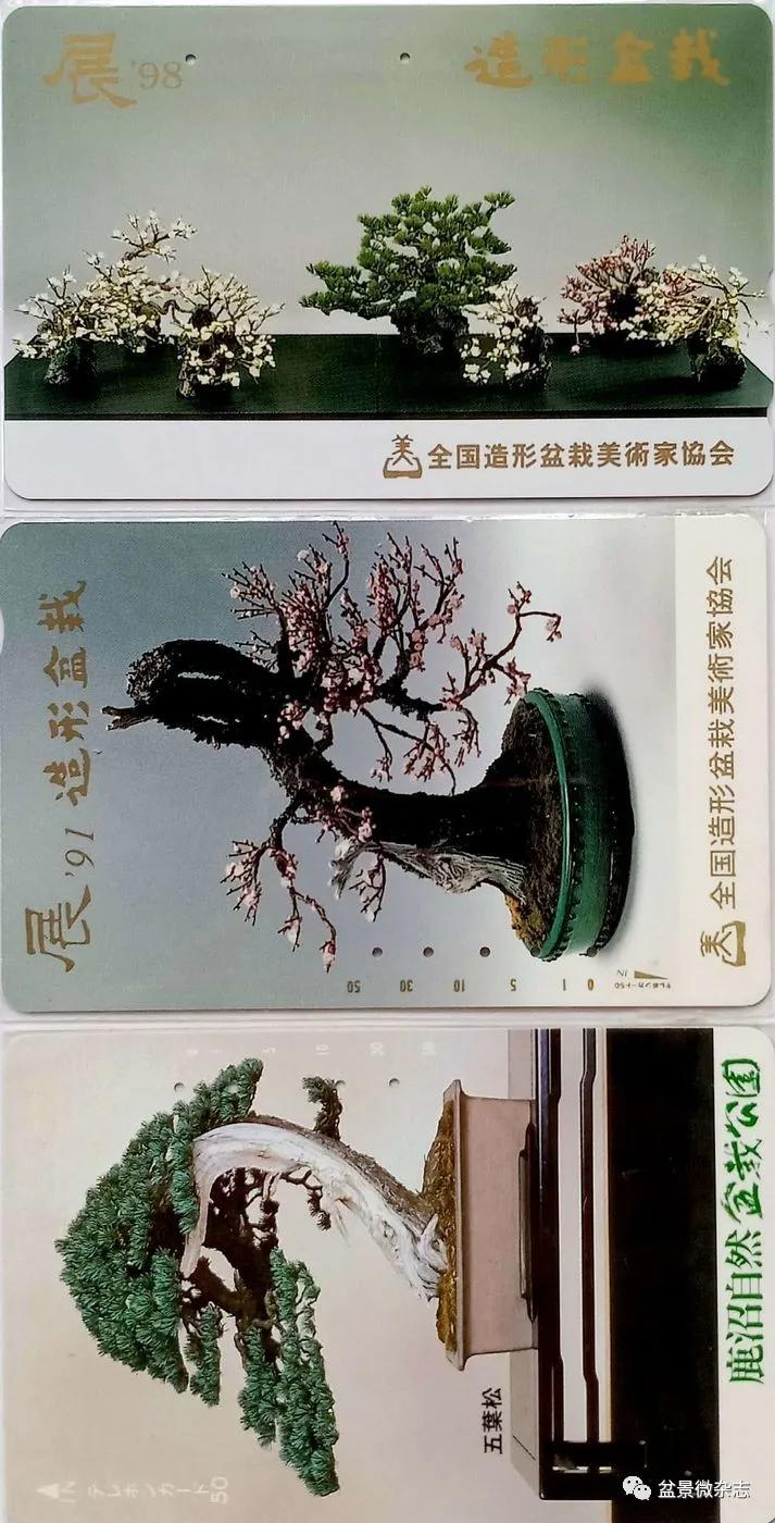 鐩嗘櫙鑱旂郴鐢佃瘽鍙风爜,涓鐩嗘櫙鑱旂郴鏂瑰紡