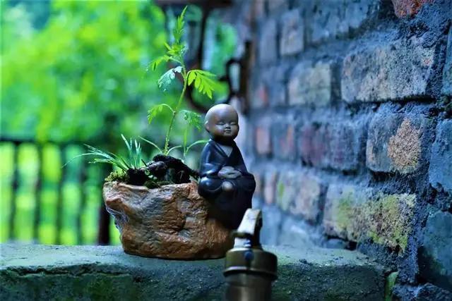 黄山最隐秘的村落,黄山边上的世外桃源