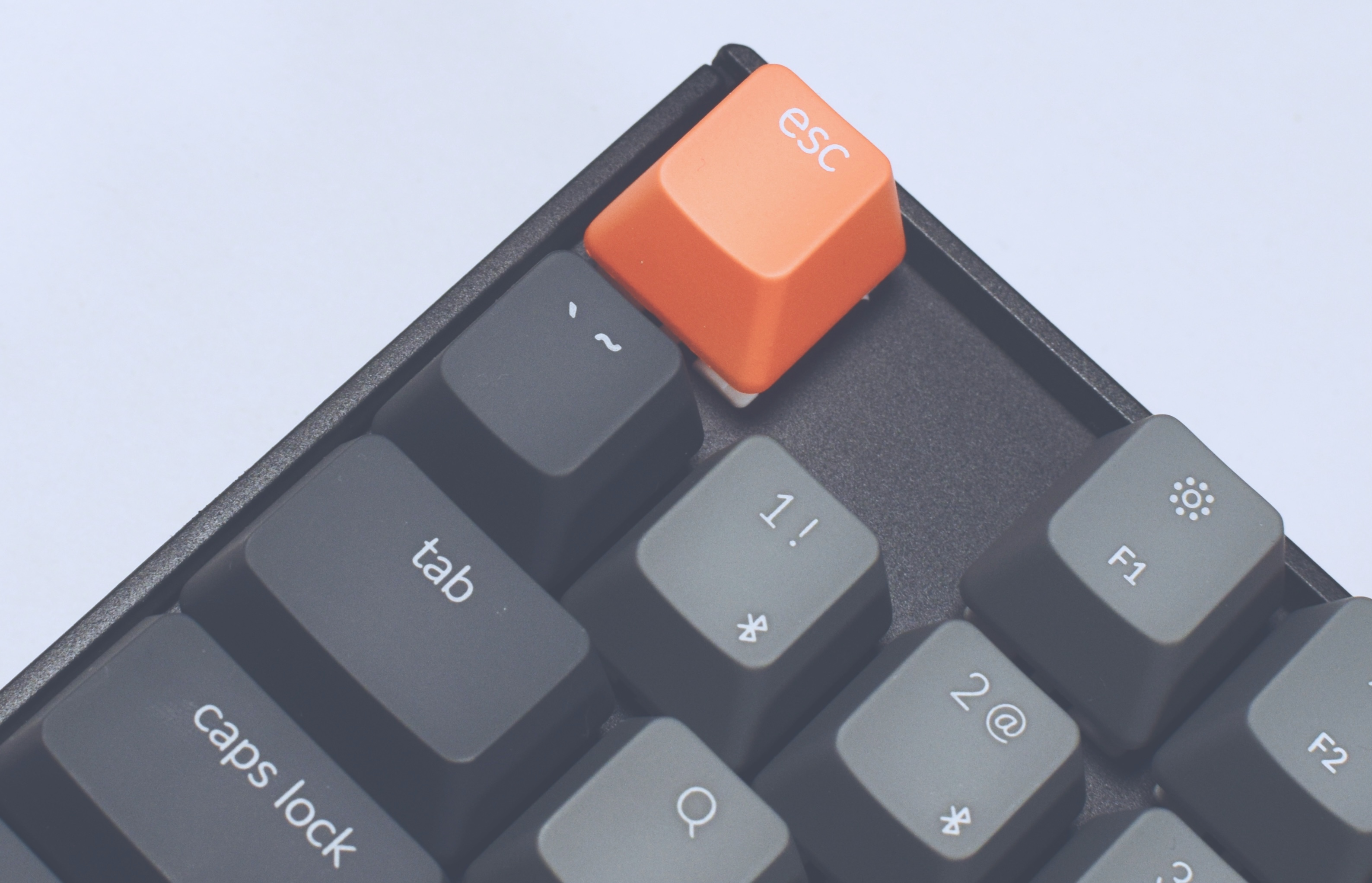 苹果适合码字的软件,苹果用什么码字软件